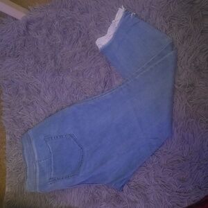 Lane Bryant Jeans Size 16 petite
